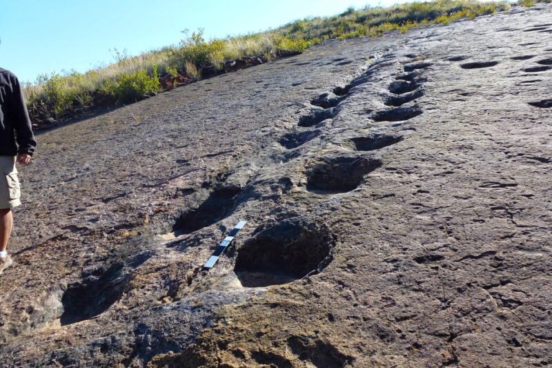 From Sucre | Maragua Crater and Dinosaur Footprints | 1 Day - Itinerary Highlights