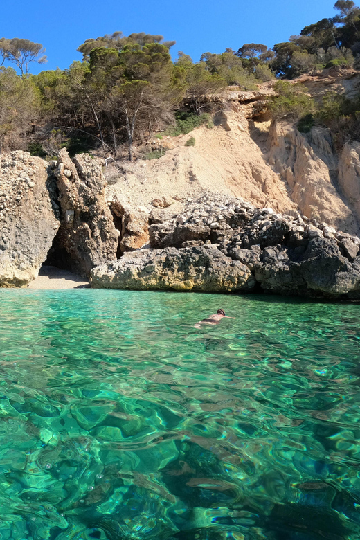 From : SUP SAFARI 3h - Highlights of the Experience