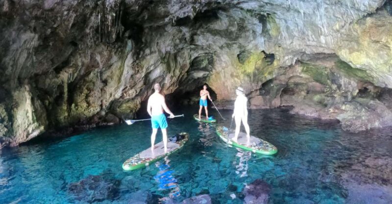 From : SUP SAFARI 3h - Boat Navigation and Exploration