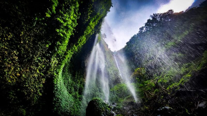 From Surabaya or Malang: Bromo & Madakaripura Waterfall - Transportation and Guides