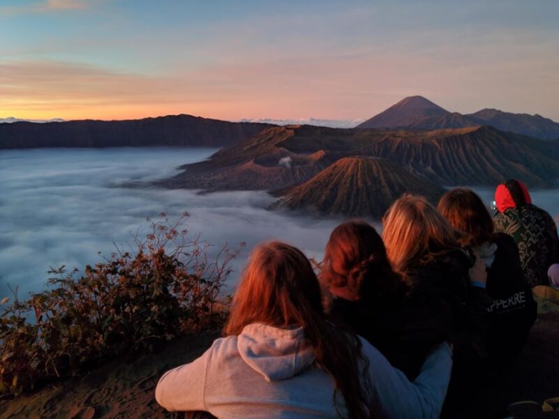 From Surabaya or Malang: Mount Bromo Sunrise 1-Day Trip - Tour Features