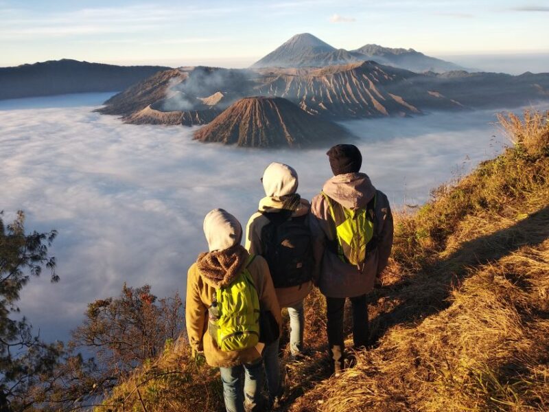From Surabaya or Malang: Mount Bromo Sunrise 1-Day Trip - Customer Reviews
