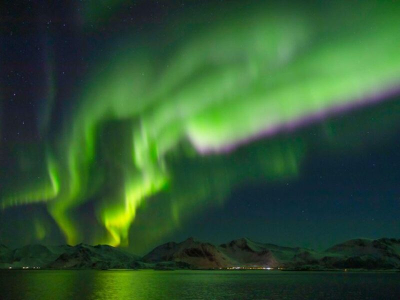 From Svolvær: Guided Northern Lights Tour by Van - Scenic Views of Norway
