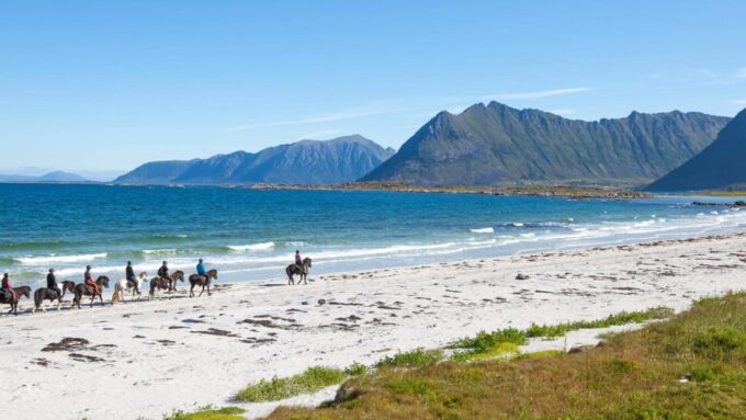 From Svolvær: Henningsvær Lofoten East Island Full Day Tour - Sargan 8 Scenic Train