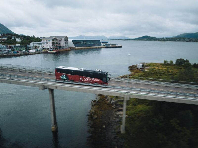 From Svolvær: Hurtigruten Cruise Into Trollfjord - Key Points