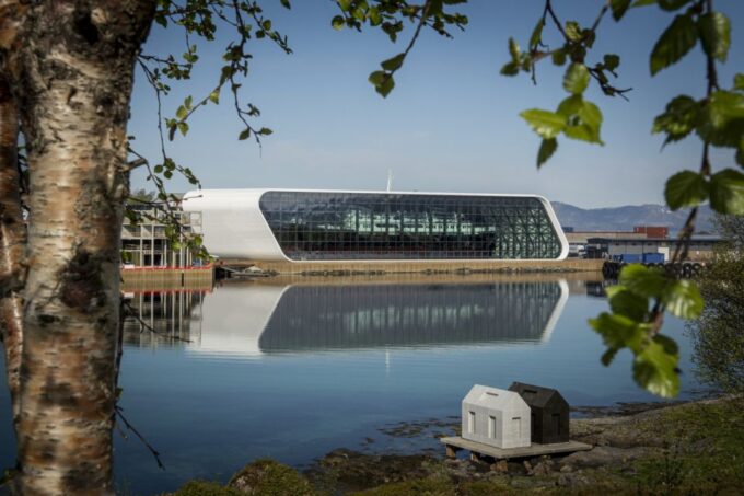 From Svolvær: Hurtigruten Cruise Into Trollfjord - Important Details and Feedback
