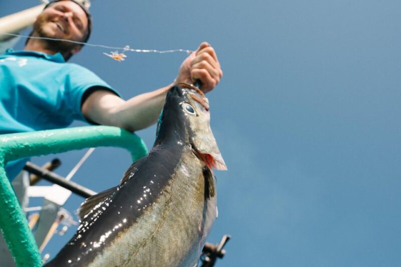 From Svolvaer: Lofoten Fishing Boat Cruise - Experience Highlights