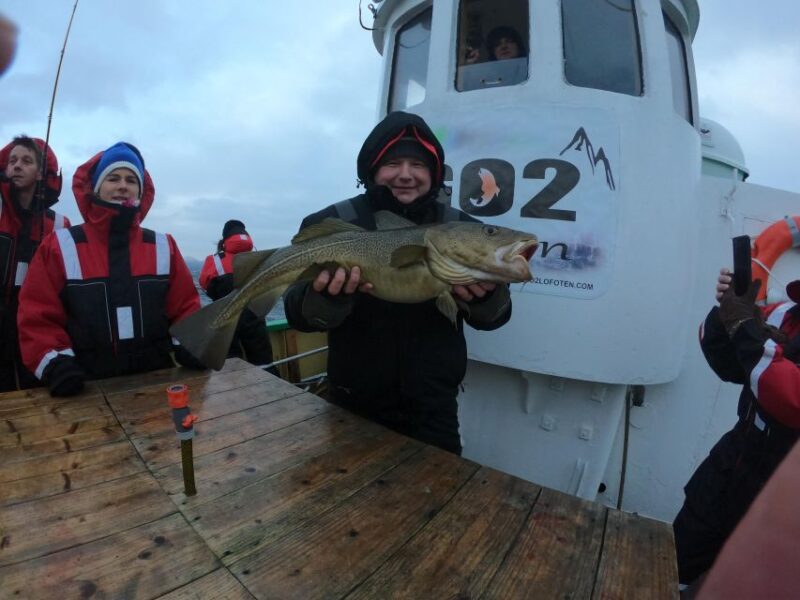 From Svolvaer: Lofoten Fishing Boat Cruise - Fishing Techniques and Safety
