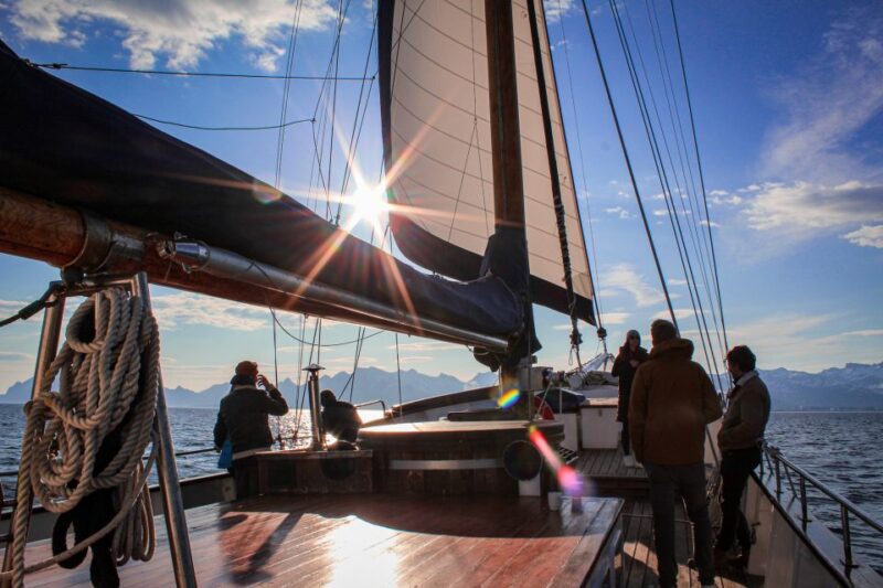 From Svolvær: Lofoten Islands Midnight Sun Luxury Sail - Languages and Pricing