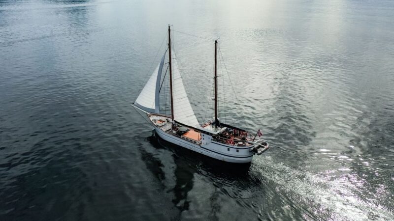 From Svolvær: Lofoten Islands Midnight Sun Luxury Sail - Itinerary and Activities