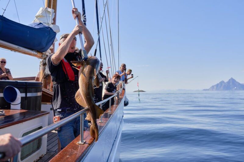 From Svolvær: Lofoten Islands Sea to Table Fishing Trip - Itinerary and Experience