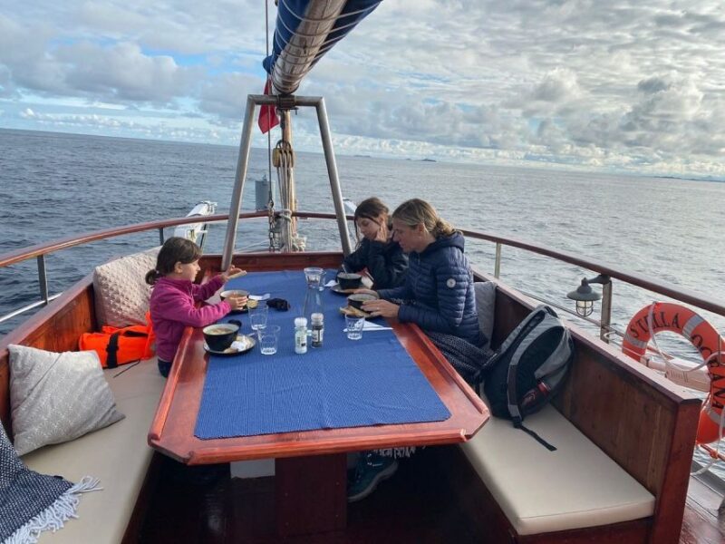 From Svolvær: Lofoten Islands Sea to Table Fishing Trip - Onboard Amenities and Services
