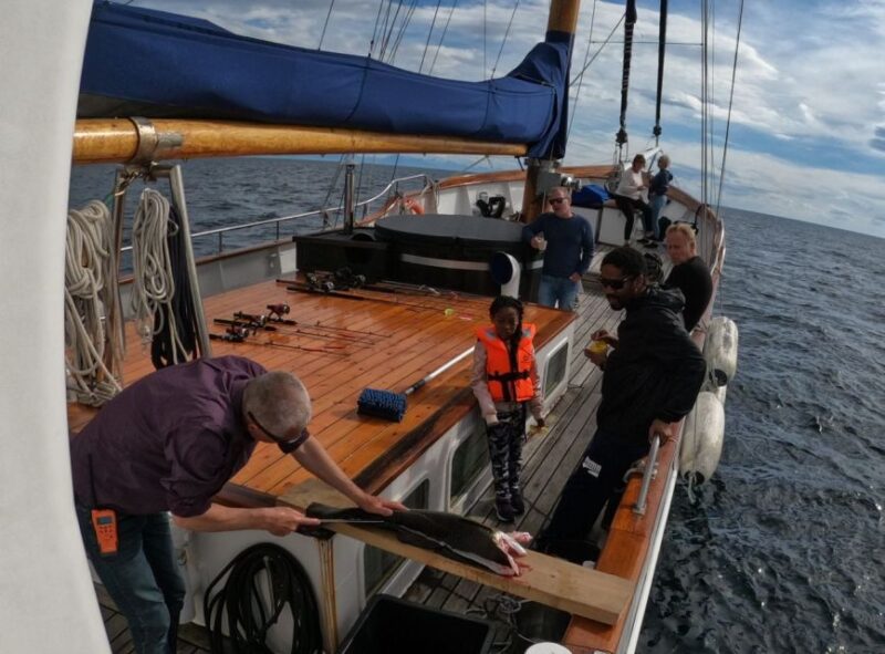 From Svolvær: Lofoten Islands Sea to Table Fishing Trip - Meeting Point and Booking