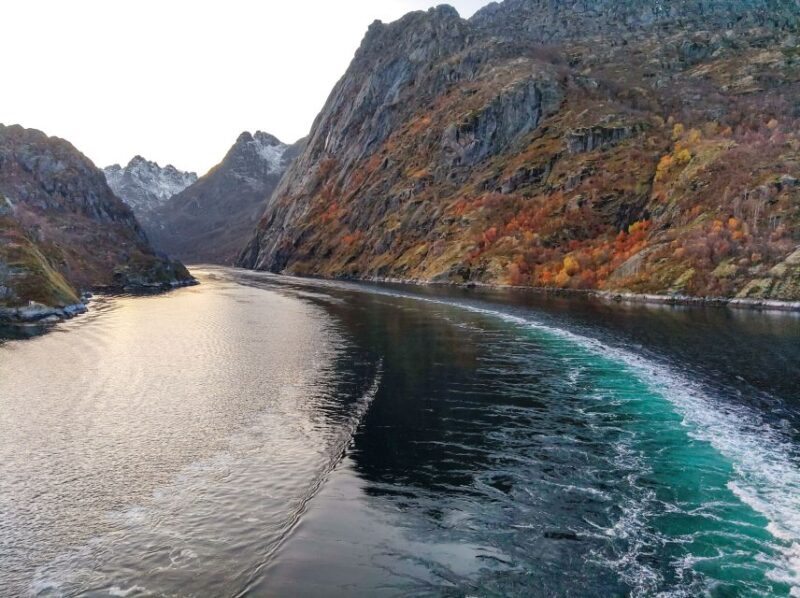 From Svolvær: Lofoten Islands Silent Trollfjord Cruise - Onboard Experience