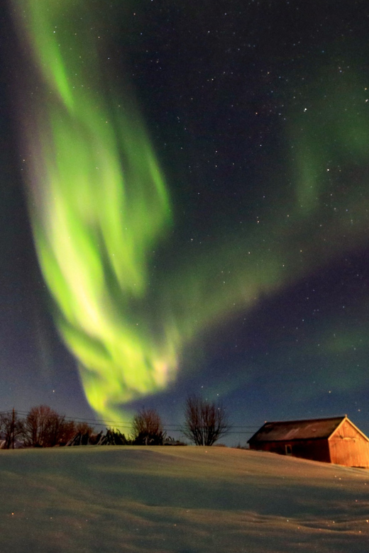 From Svolvaer: Private Northern Lights Search Trip - Photography and Guide Services