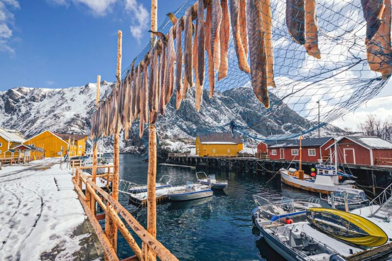 From Svolvær: Reine & Å Lofoten West Island Full Day Tour - Visit Nusfjord