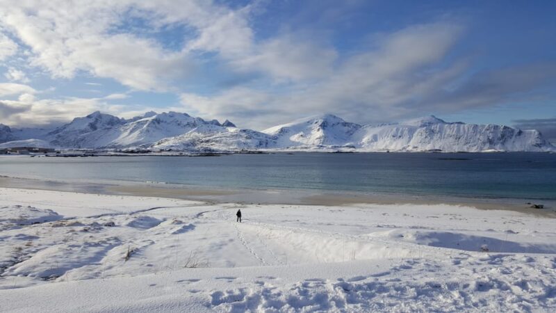 From Svolvær: Reine Winter Photography Tour and Photographer - Customer Reviews