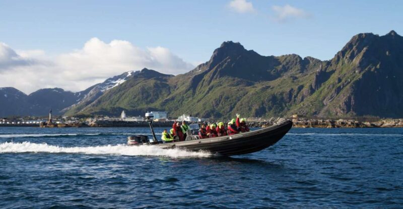 From Svolvær: RIB Sea Eagle Safari Trollfjord Cruise - Key Points