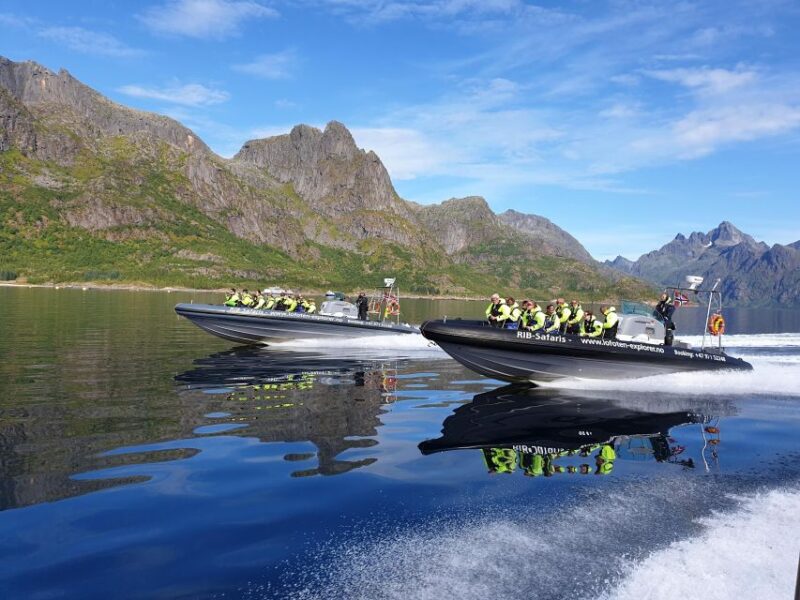From Svolvaer: Trollfjorden Wildlife RIB Cruise - Navigating Øyhellsundet