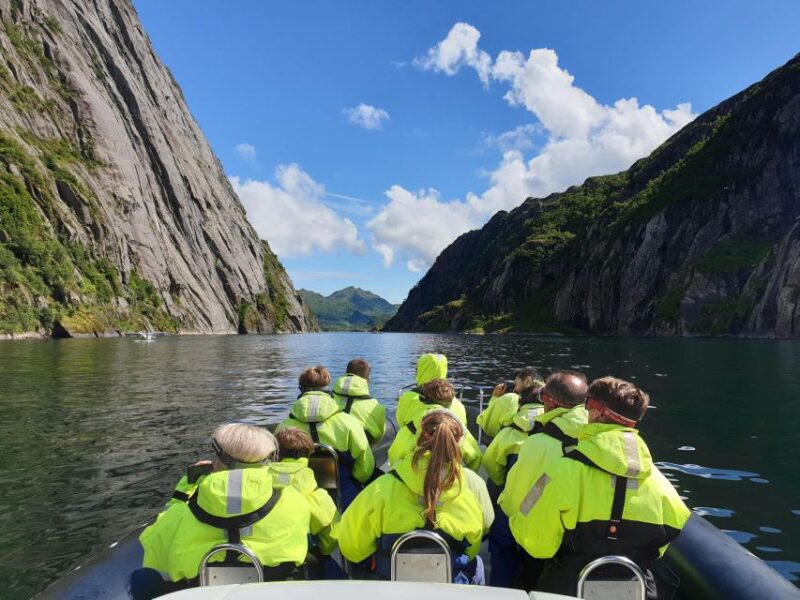 From Svolvaer: Trollfjorden Wildlife RIB Cruise - Wildlife Sightings