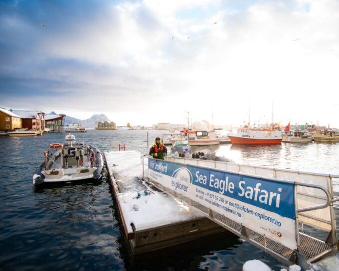From Svolvaer: Trollfjorden Wildlife RIB Cruise - Recap