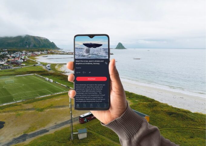 From Svolvær: Whale Watching Day Trip to Andenes - Fitness Level and Mobility Considerations