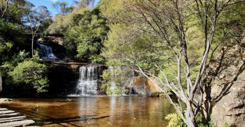 From Sydney: Blue Mountains Deluxe Tour - Pickup Locations
