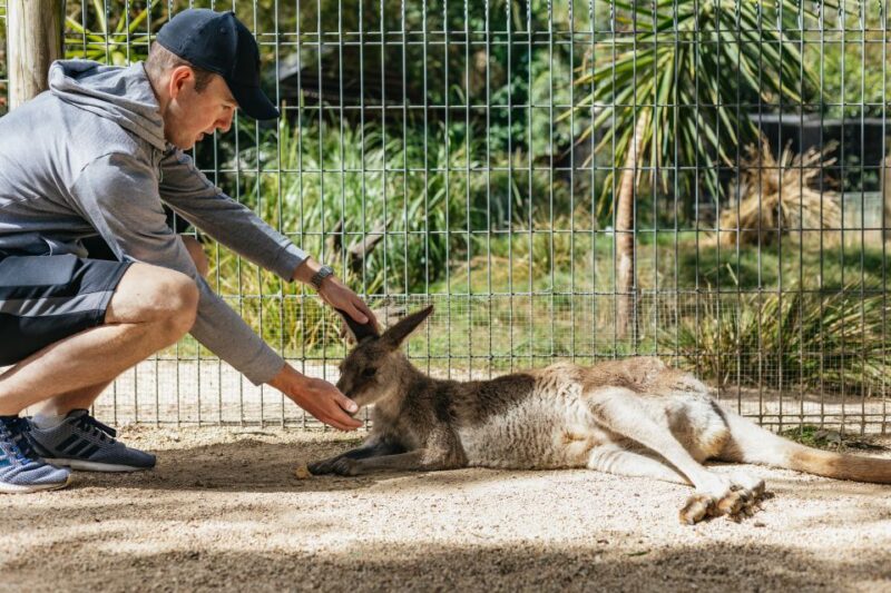From Sydney: Blue Mountains Full-Day Trip - Experience Scenic World Rides