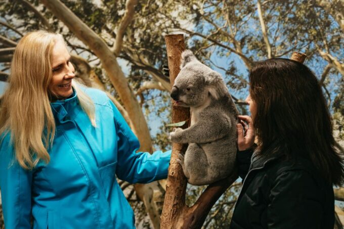 From Sydney: Blue Mountains Nature and Wildlife Tour - Featherdale Wildlife Park