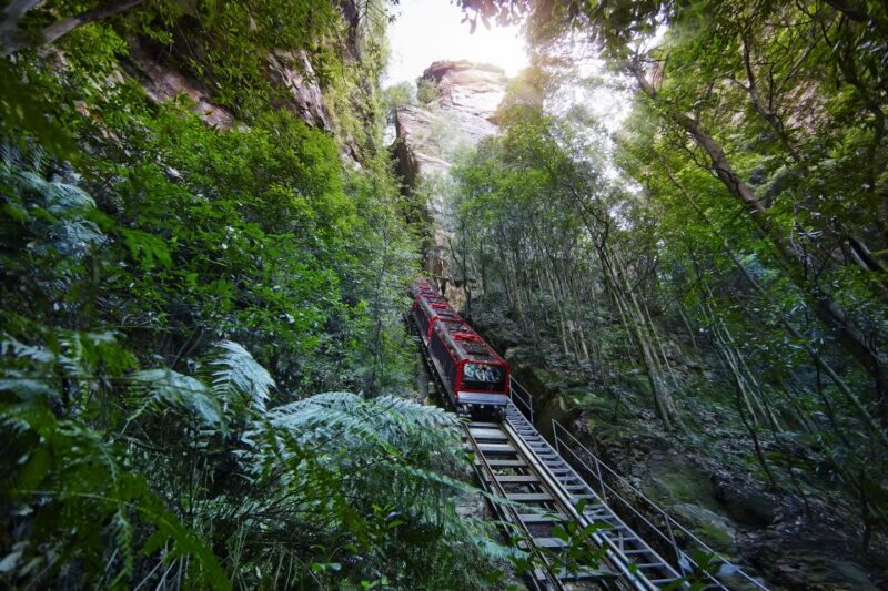 From Sydney: Blue Mountains, Scenic World All Inclusive Tour - Key Points