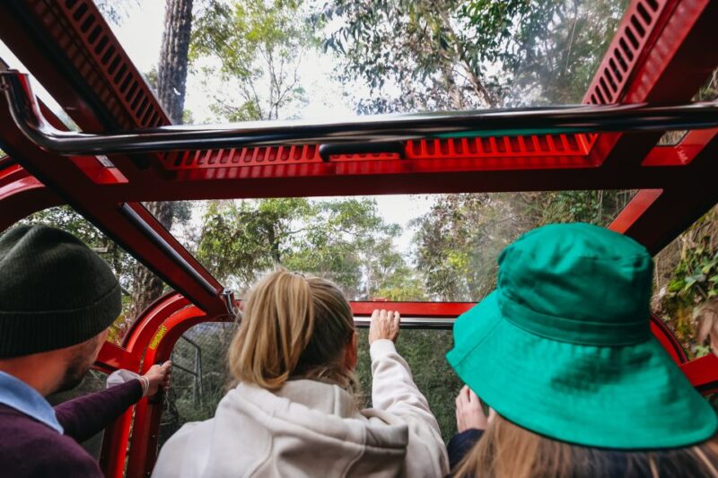 From Sydney: Blue Mountains, Scenic World All Inclusive Tour - Megalong Valley Adventure