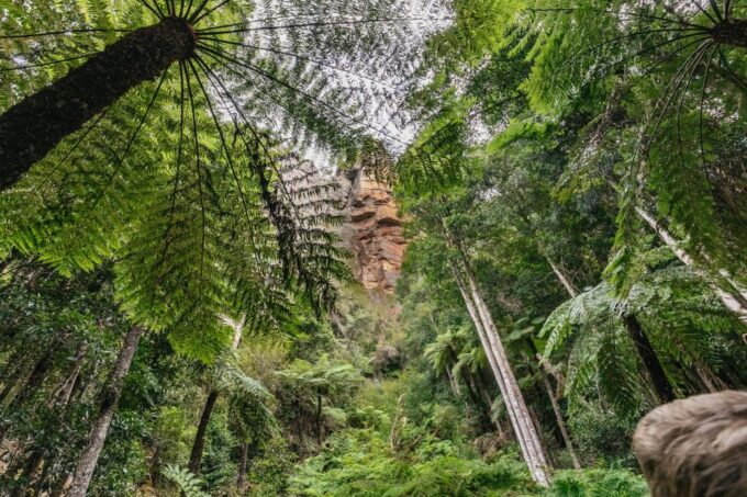 From Sydney: Blue Mountains, Scenic World All Inclusive Tour - Frequently Asked Questions