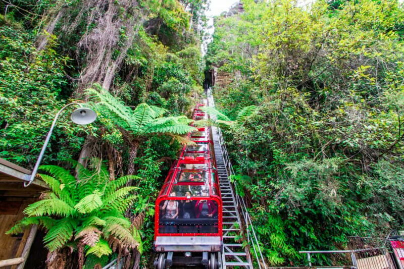 From Sydney: Blue Mountains, Scenic World, Zoo, & Ferry Ride - Key Points