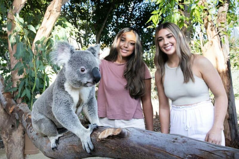 From Sydney: Blue Mountains, Scenic World, Zoo, & Ferry Ride - The Highlights of the Itinerary