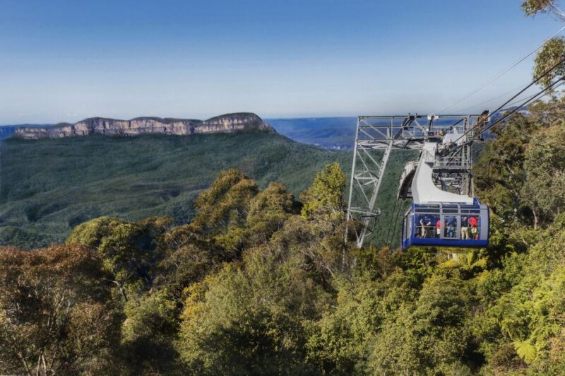 From Sydney: Blue Mountains, Scenic World, Zoo, & Ferry Tour - Sydney Zoo: Native Animals