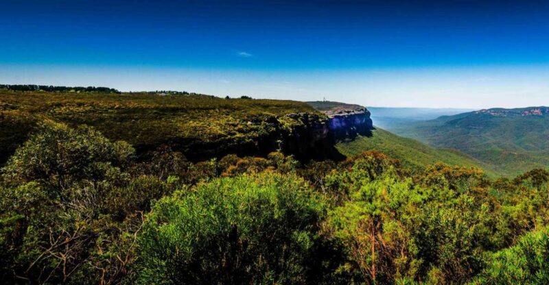 From Sydney: Blue Mountains Small-Group Tour Picnic & Hike - Interaction With Australian Animals