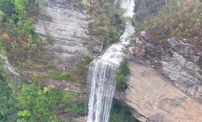 From Sydney: Blue Mountains, Three Sisters & Leura Day Tour - Customer Feedback