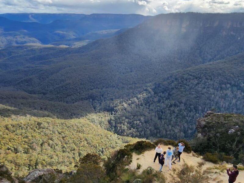 From Sydney: Blue Mountains Tour With Waterfall Walk & Lunch - Customer Reviews and Experience