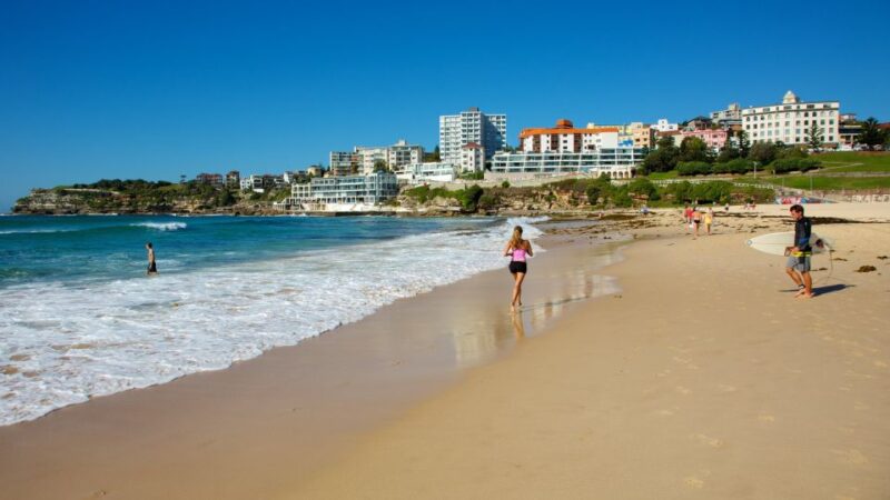 From Sydney: Full Day Tour of Golden Beaches and Ocean Vista - Key Points