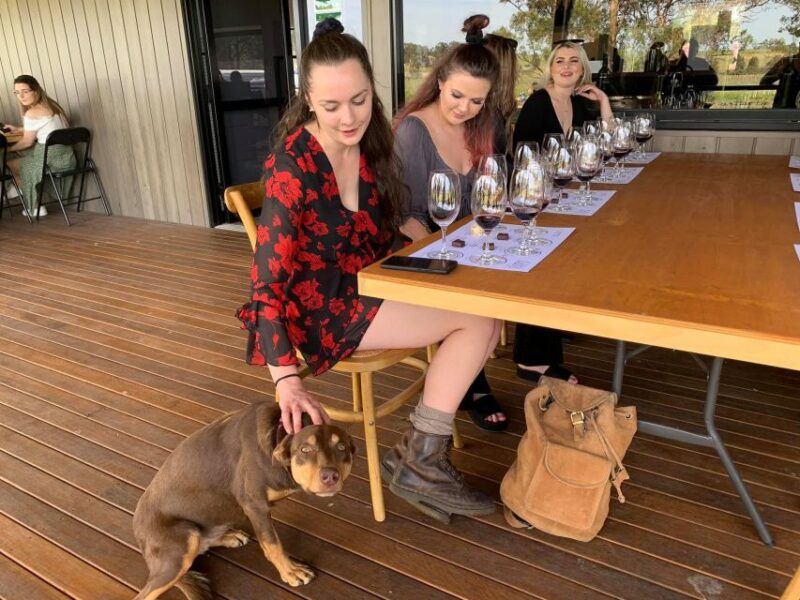 From Sydney: Hunter Valley Beer & Wine Group Tour - Highlights of the Tour