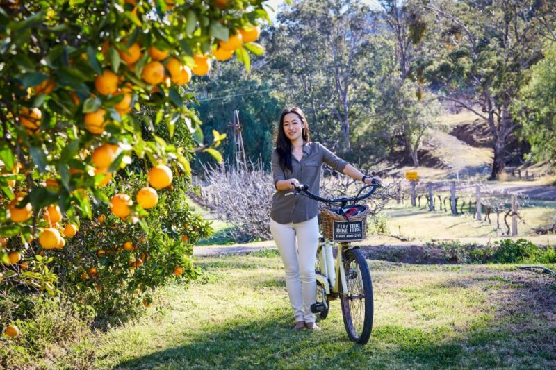 From Sydney: Hunter Valley Wine Tasting Private Day Tour - Transportation and Accessibility