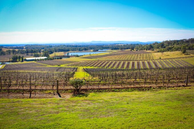 From Sydney: Hunter Valley Wine Tasting Private Day Tour - Frequently Asked Questions