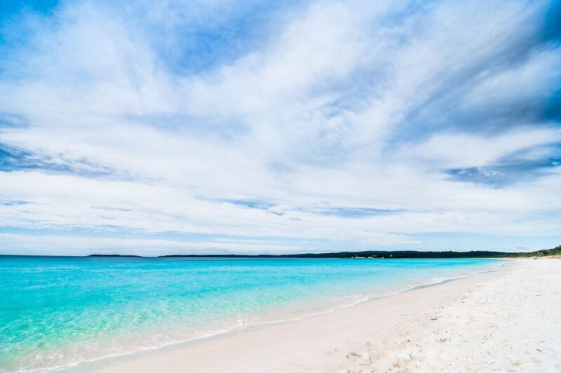 From Sydney: Jervis Bay Dolphin Cruise With BBQ Lunch - Key Points