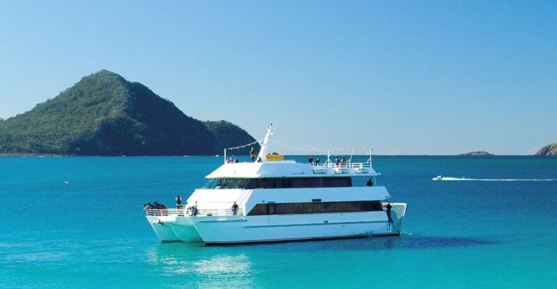 From Sydney: Port Stephens Dolphin Cruise & 4WD Sandboarding - Dolphin Watching Cruise