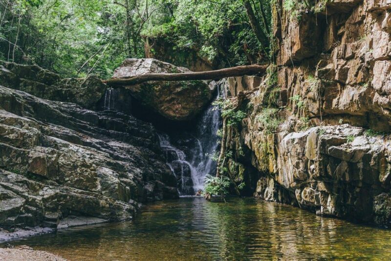 From Sydney| Private Blue Mountains Tour| Waterfalls & Views - Key Points