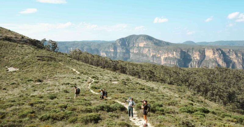 From Sydney| Private Blue Mountains Tour| Waterfalls & Views - Discover Wentworth Falls