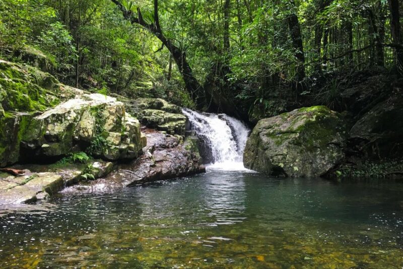 From Sydney| Private Blue Mountains Tour| Waterfalls & Views - Hike Valley of the Waters