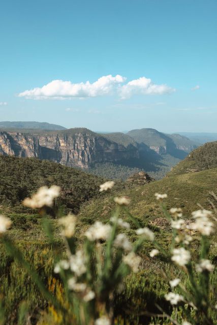 From Sydney| Private Blue Mountains Tour| Waterfalls & Views - Enjoy Lunch in Leura