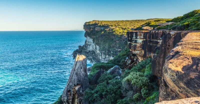 From Sydney: Royal National Park Private Tour - Sea Cliff Bridge Experience