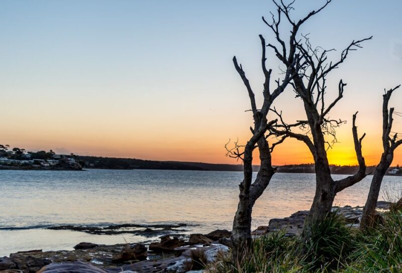 From Sydney: Sea Cliff Bridge, Beaches, and Farmlands Tour - Key Points